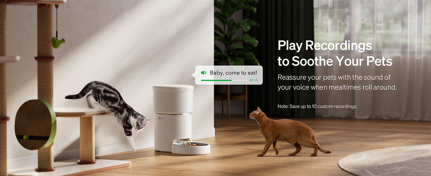 Petlibro SPACE automatischer Futterspender