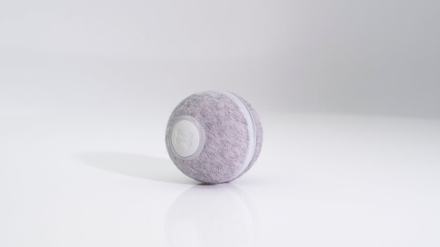 Cheerble Ball M1 - Grau
