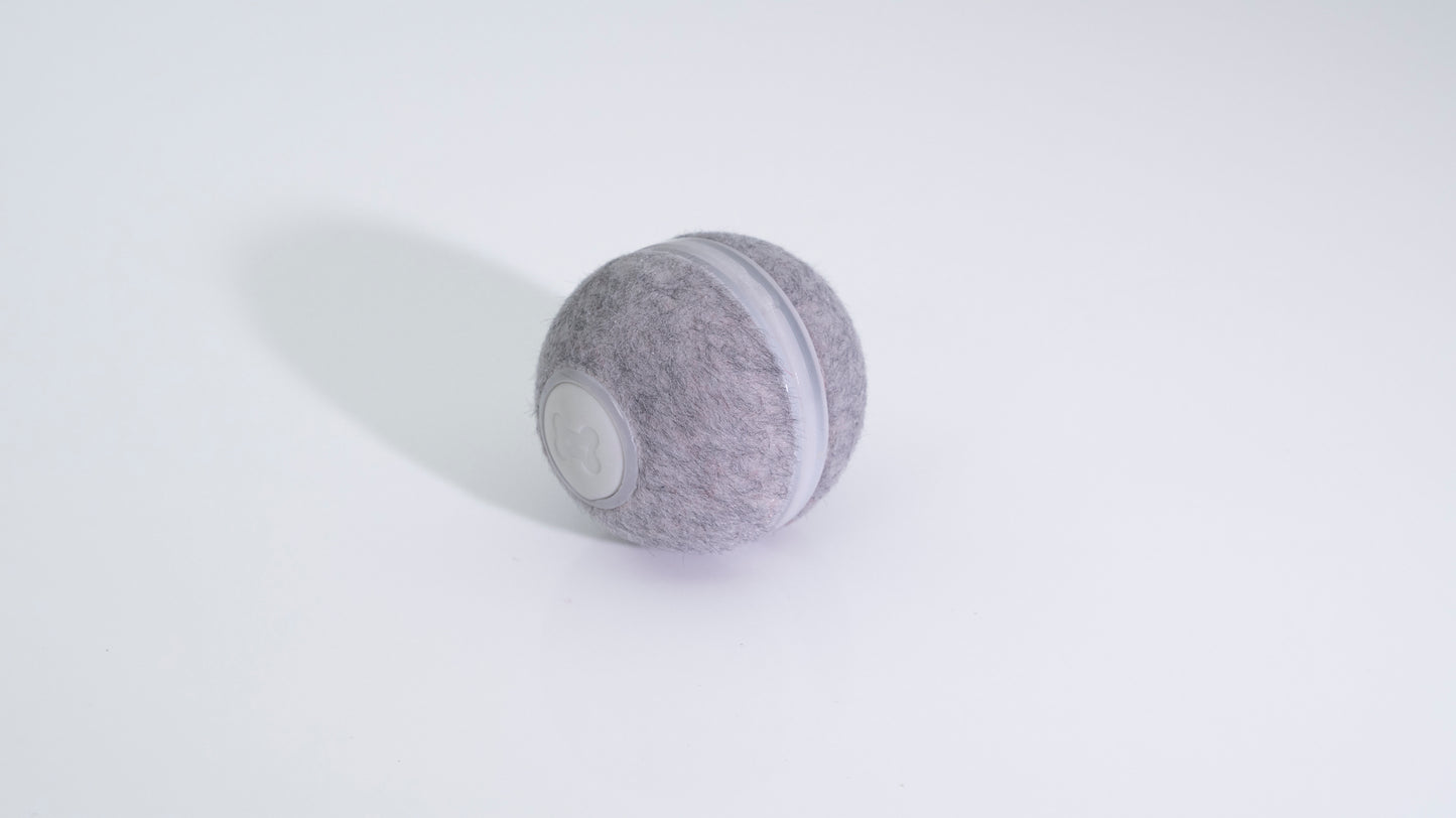 Cheerble Ball M1 - Grau