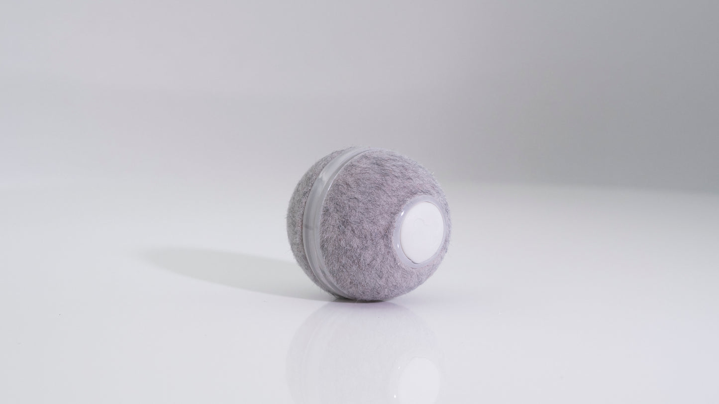 Cheerble Ball M1 - Grau