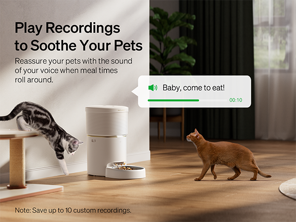 Petlibro SPACE automatischer Futterspender