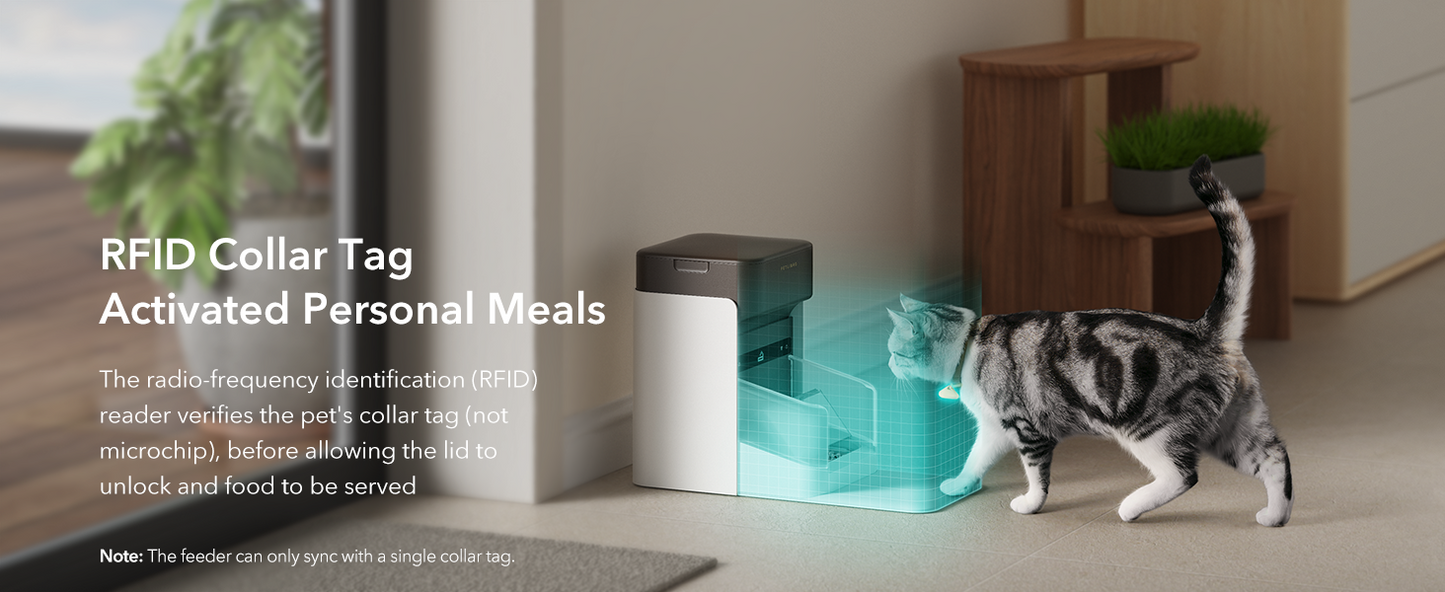 Petlibro ONE RFID Futterspender