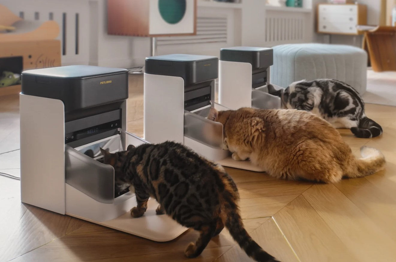 Petlibro ONE RFID Futterspender