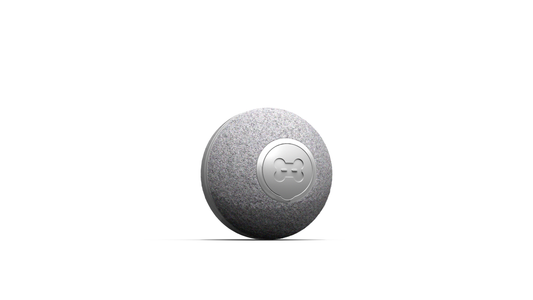 Cheerble Ball M1 - Grau