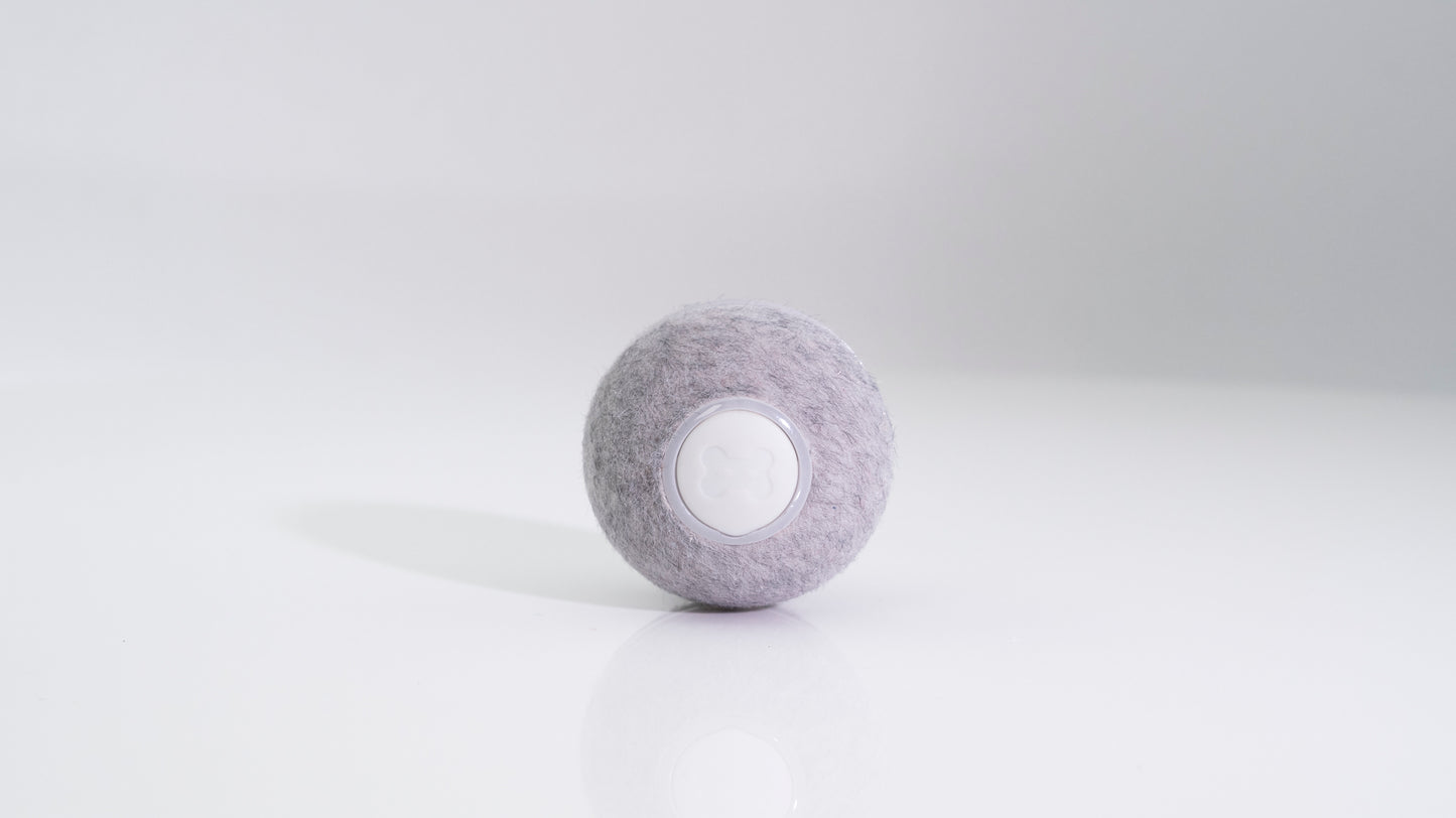 Cheerble Ball M1 - Grau