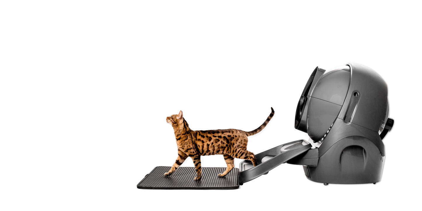 Whisker Litter-Robot 3 Rampe Grau