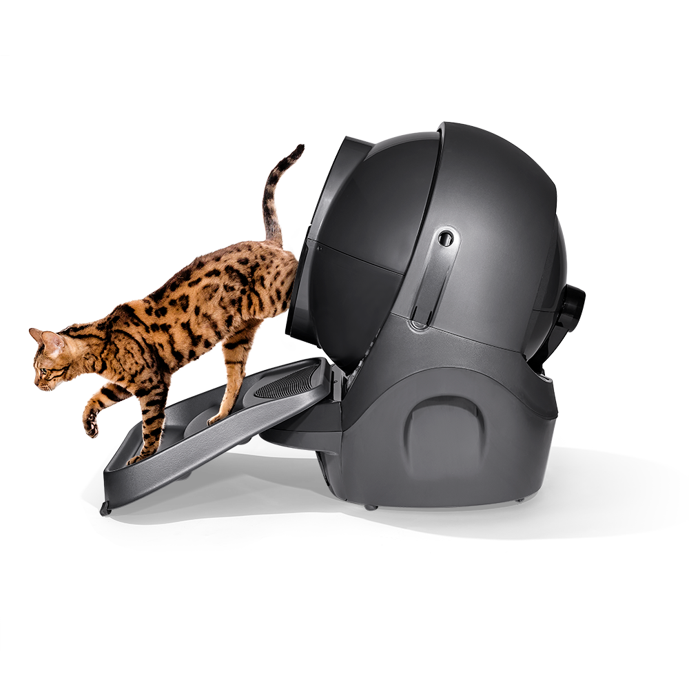 Whisker Litter-Robot 3 Rampe Grau