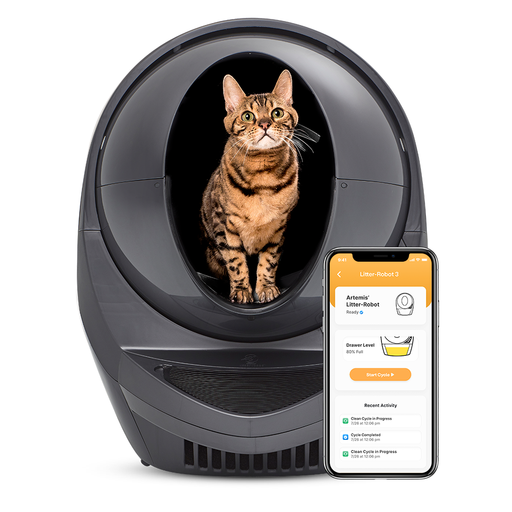 Whisker Litter-Robot 3 Rampe Grau