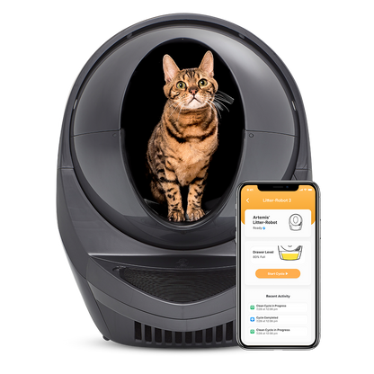 Whisker Litter-Robot 3 Rampe Grau