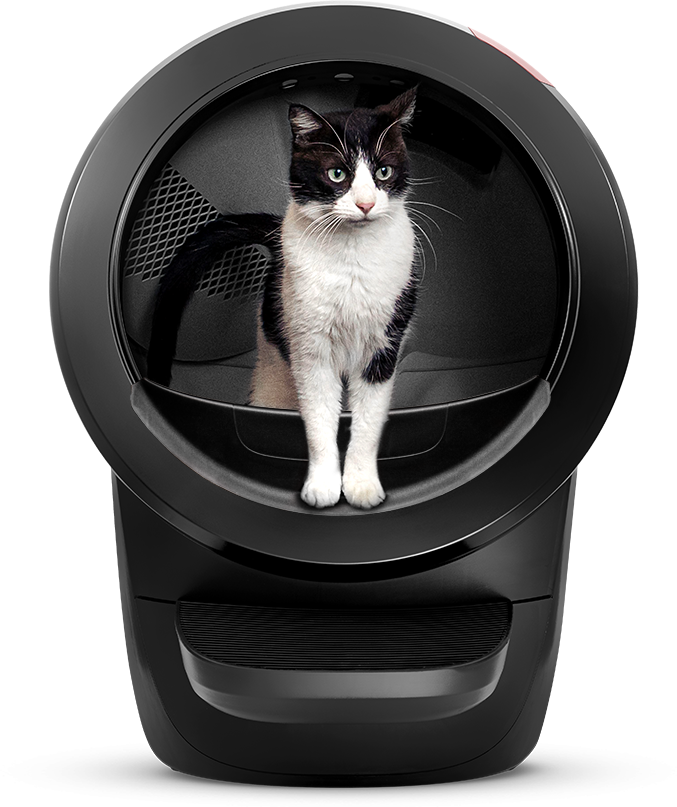 LITTER-ROBOT 4 by Whisker - selbstreinigendes Katzenklo