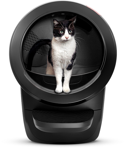 LITTER-ROBOT 4 by Whisker - selbstreinigendes Katzenklo