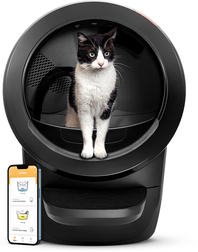 LITTER-ROBOT 4 by Whisker - selbstreinigendes Katzenklo