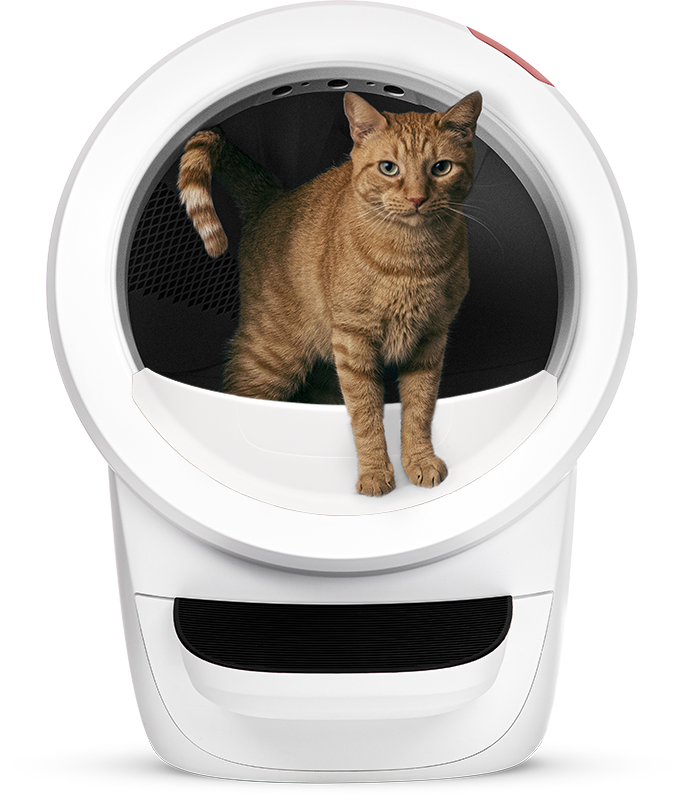 LITTER-ROBOT 4 by Whisker - selbstreinigendes Katzenklo