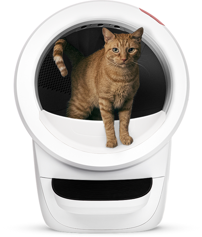 LITTER-ROBOT 4 by Whisker - selbstreinigendes Katzenklo