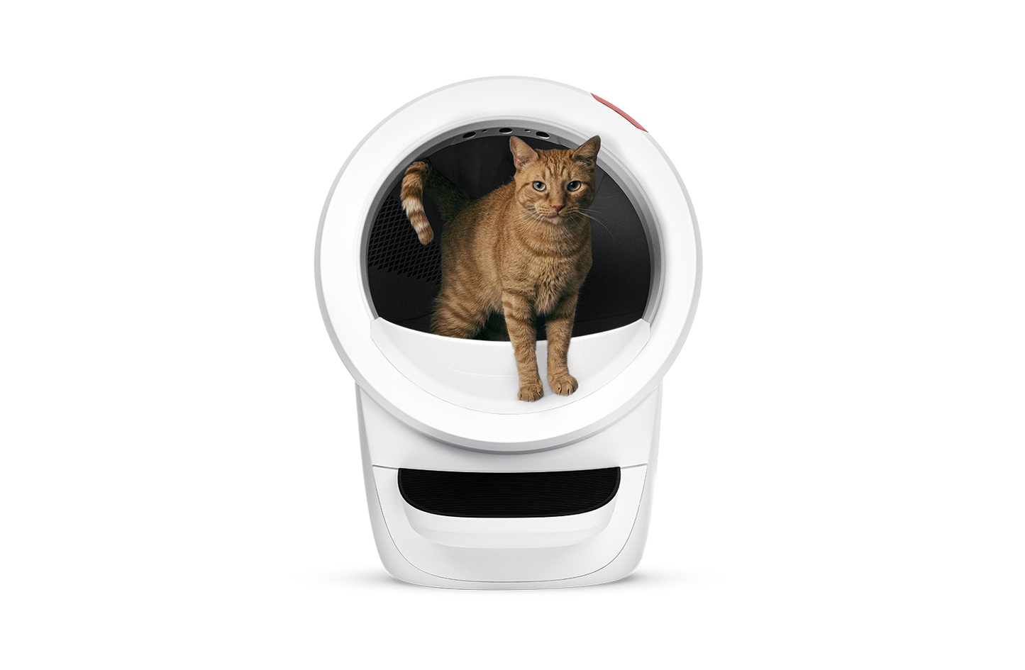 LITTER-ROBOT 4 by Whisker - selbstreinigendes Katzenklo