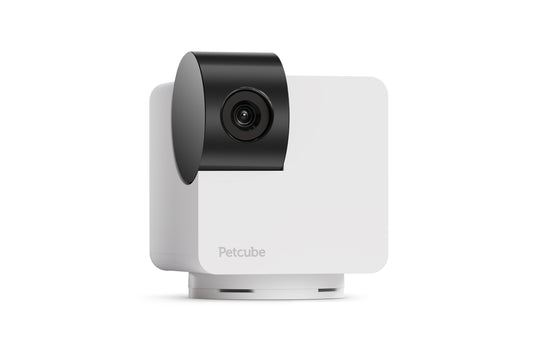 Petcube Cam 360 Camera