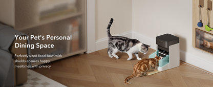 Petlibro ONE RFID Futterspender