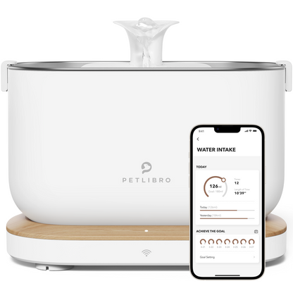 PETLIBRO Glacier Brunnen frontal mit Live-Wasseranalyse auf dem Handy