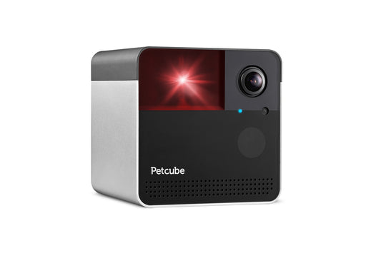 Petcube PLAY 2
