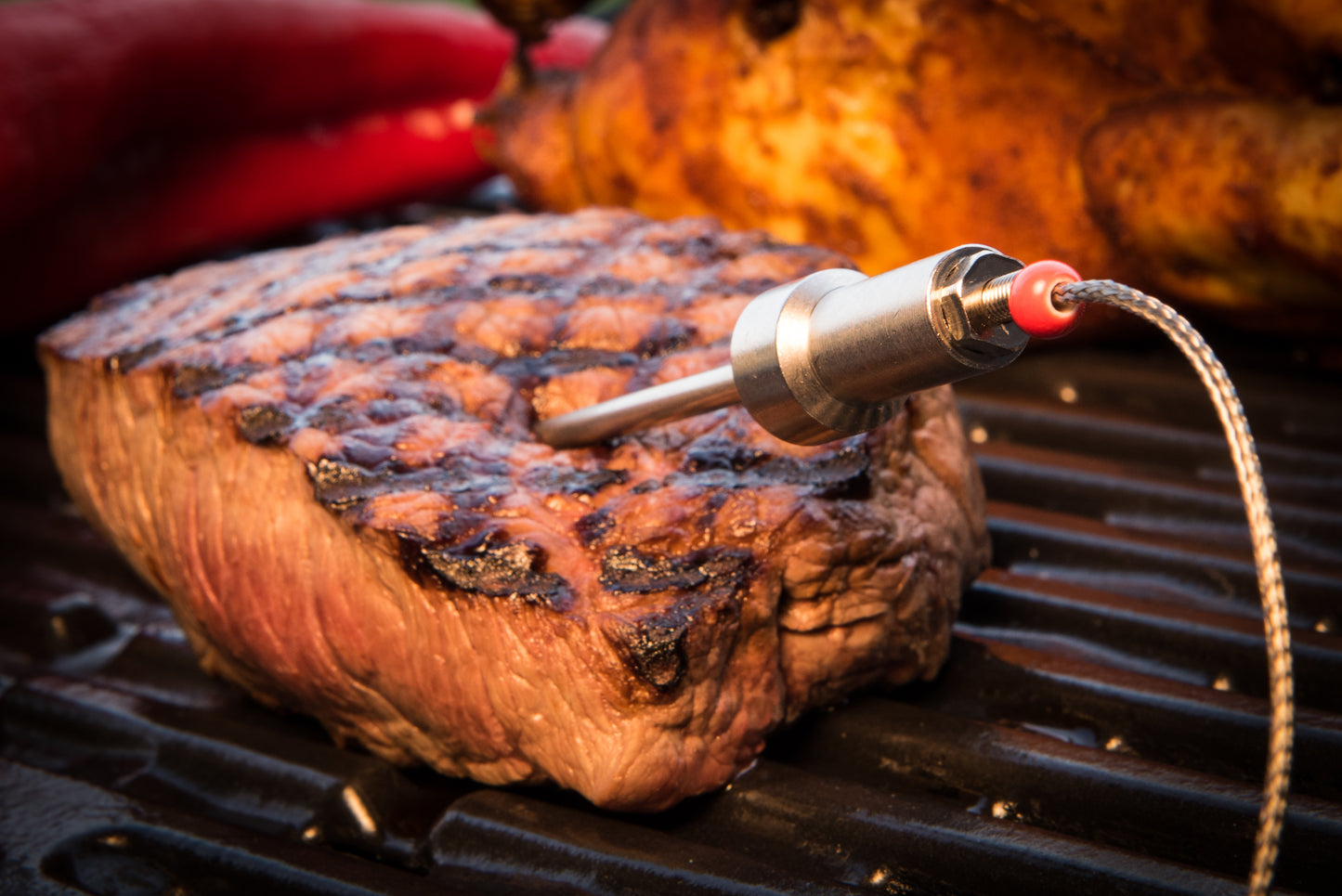 HerQs Probes (temperature probes) - supplement for HerQs BBQ thermometers